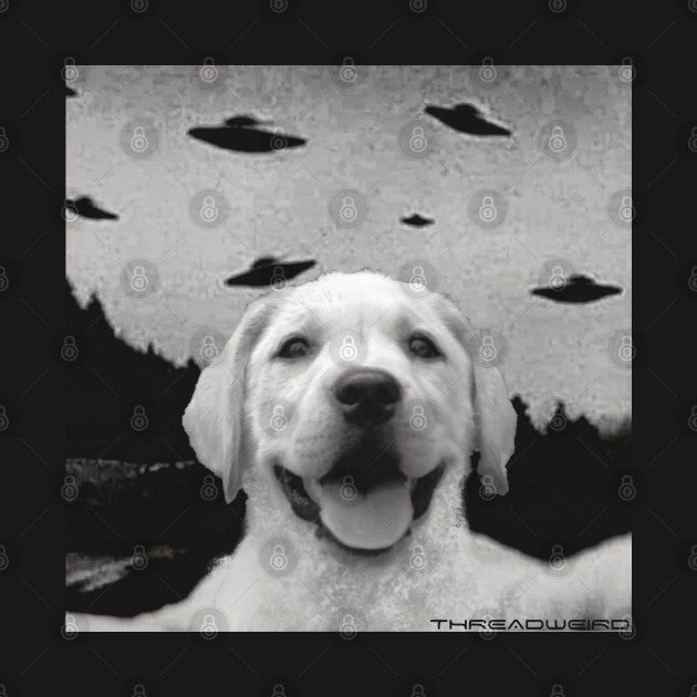 Disover Funny UFO Selfie Labrador Retriever - Labrador Retriever - T-Shirt