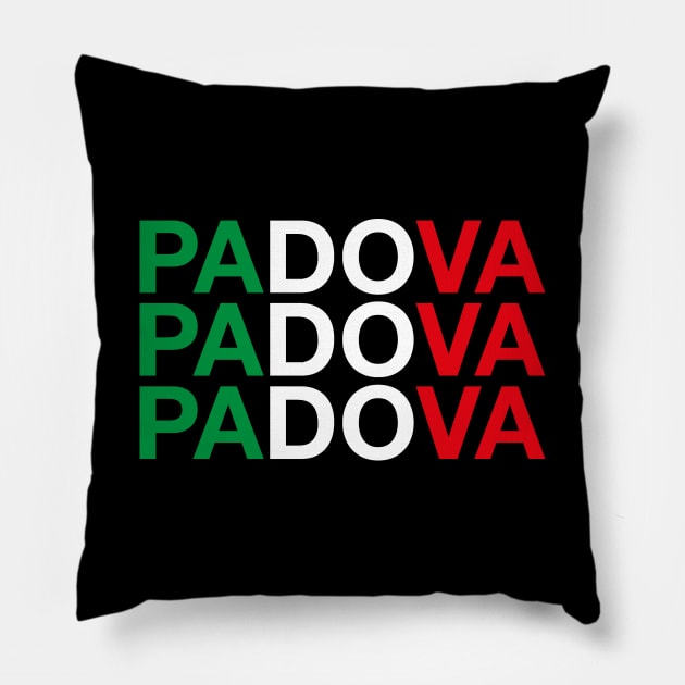 PADOVA Italian Flag Pillow by eyesblau