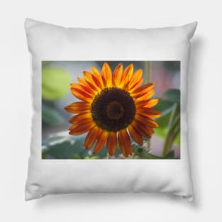 Sunflower Series IX Pillow