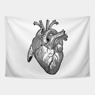 Antique Anatomy Illustration of Human Heart Tapestry