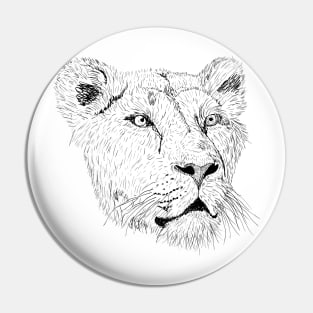 Lion Lioness lioness  Animals King of Beasts Pin