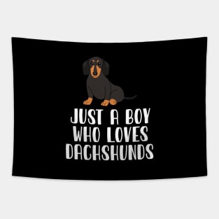 Just A Boy Who Loves Dachshunds Tapestry