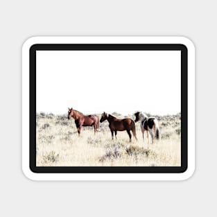 Horses, Horse print, Horse art, Wall art, Wall decor, Trendy print, Animal print, Interior Magnet