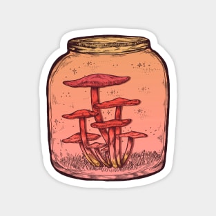 Mushroom Jar || Vintage Psychedelic Rainbow Illustration Magnet