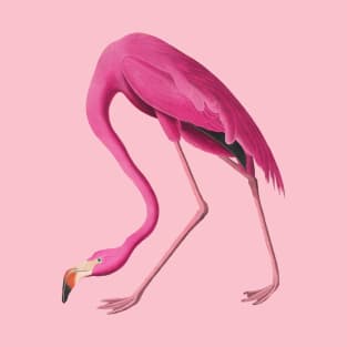 Hot Pink Flamingo Vintage Bird Art T-Shirt