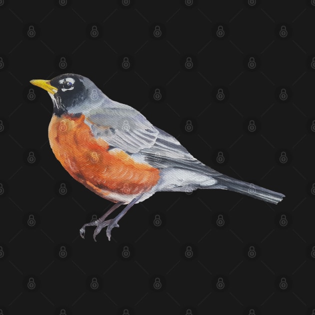 American Robin 2 (no background) by EmilyBickell