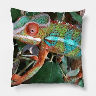 Chameleon Things Pillow