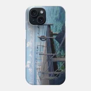 Birds looking out to sea Phone Case