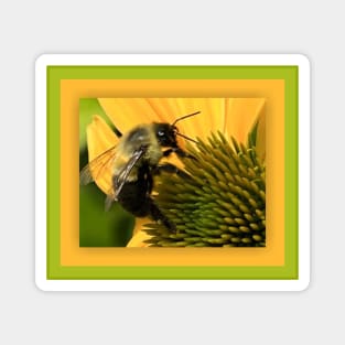 Bumble Bee on Yellow Flower Magnet