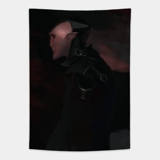 Soldier of Fortune Tapestry