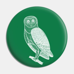 Barn Owl - detailed nocturnal bird design Pin