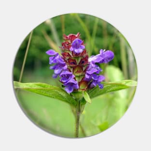 Self Heal - Prunella Vulgaris Pin