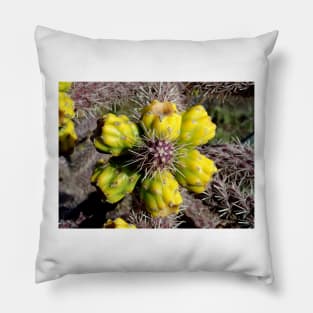 Sedona Study 11 Pillow