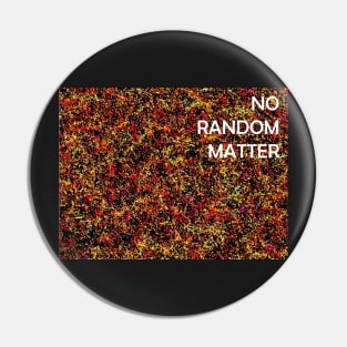 NO RANDOM MATTER Large Scale Structure of the Universe Mosaic Pin