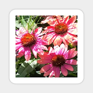 Bright Summer Vibe Flowers Magnet