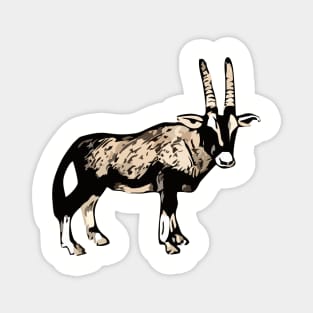 Oryx antlope Magnet