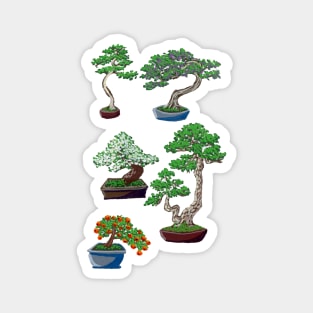 Bonsai in Gouache Magnet