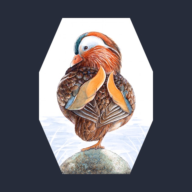 Mandarin Duck Art by Nadya Neklioudova by nadyawildlife