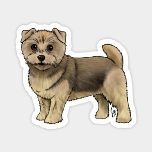 Dog - Norfolk Terrier - Grizzle Magnet