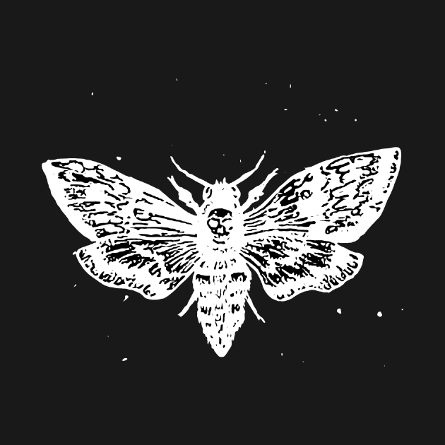 Death Head Moth by BarrySullivan