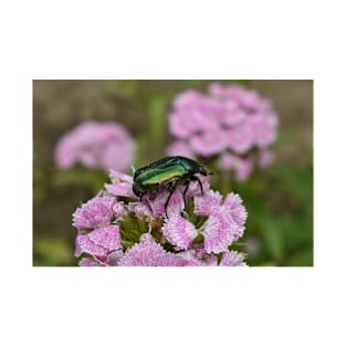 An insect on a beautiful pink flower T-Shirt