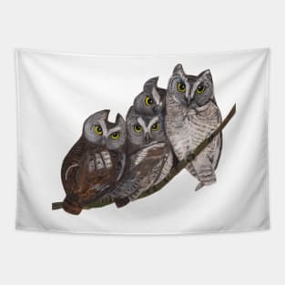 Baby Screech Owls Tapestry