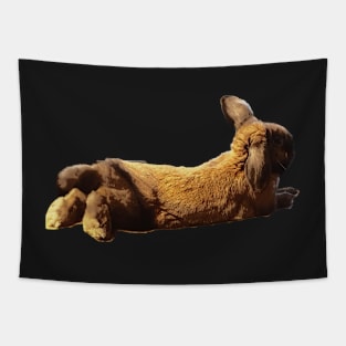 Cartoon Rabbit Anuvis Tapestry