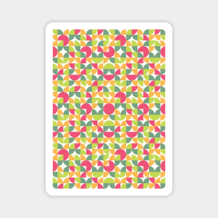 Circle Pattern (Red, Yellow, Green) Magnet