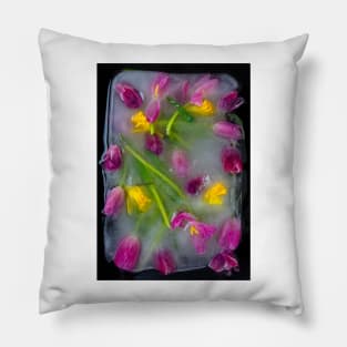 Ice Cold Tulips Pillow