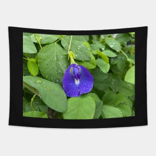 Violet Flower Blossom Tapestry