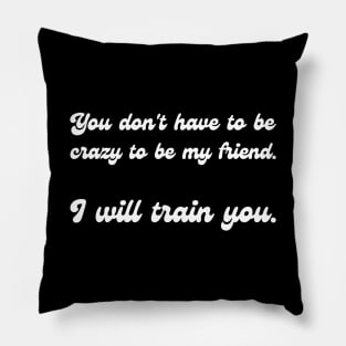 You don't have to be crazy to be my friend. I will train you. Pillow