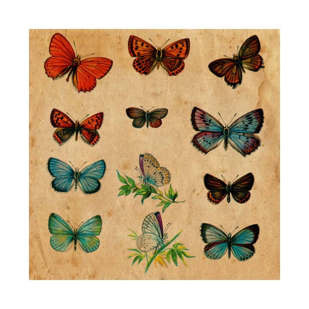 Watercolour Butterflies by My Artsam