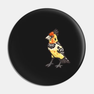 Crested Barbet Pin