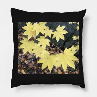 Fall is Here Now Pillow