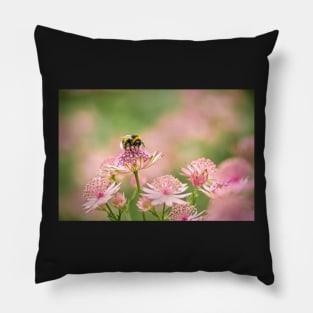 Bee on Pink Astrantia Flowers Pillow