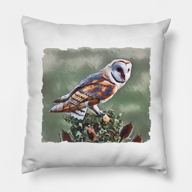 Barn Owl Pillow by PhotoArts