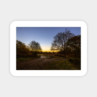 Richmond Park Sunrise Magnet