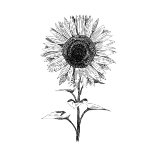 Hand drawn Sunflower T-Shirt