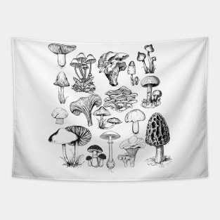 Mushroom Illustrations Tapestry