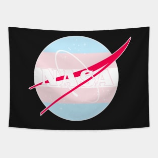 Pastel Nasa Logo - Trans Tapestry