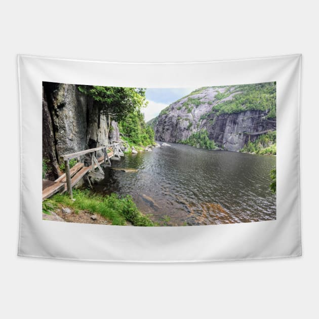 Avalanche Pass - Adirondacks Tapestry by PodDesignShop