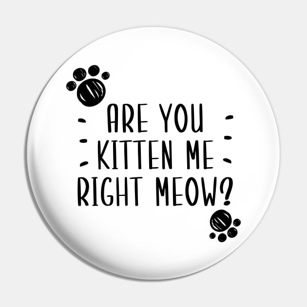 Are You Kitten Me Right Meow Pin by Health