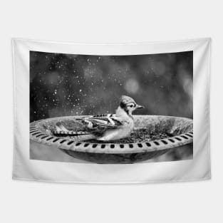 Bird Bath Tapestry