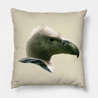 White backed vulture Gyps africanus Pillow