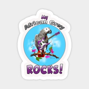 Afreican Grey Congo Parrot rocks Magnet