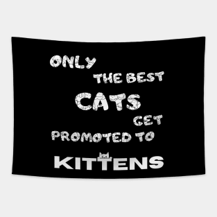 Only the best cats get promoted to kittens Funny Tapestry