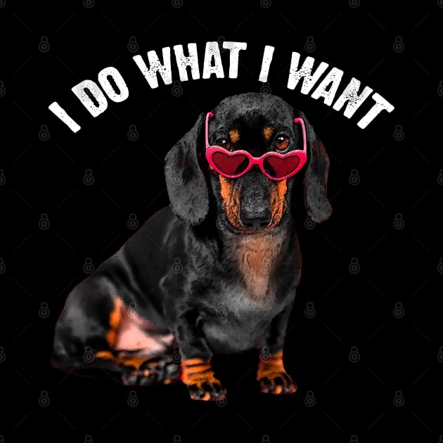 Sausage Symphony Dachshund Charm, I Do What I Want Dog Lovers by JocelynnBaxter