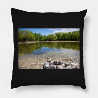 Patterson Pond 2 Pillow