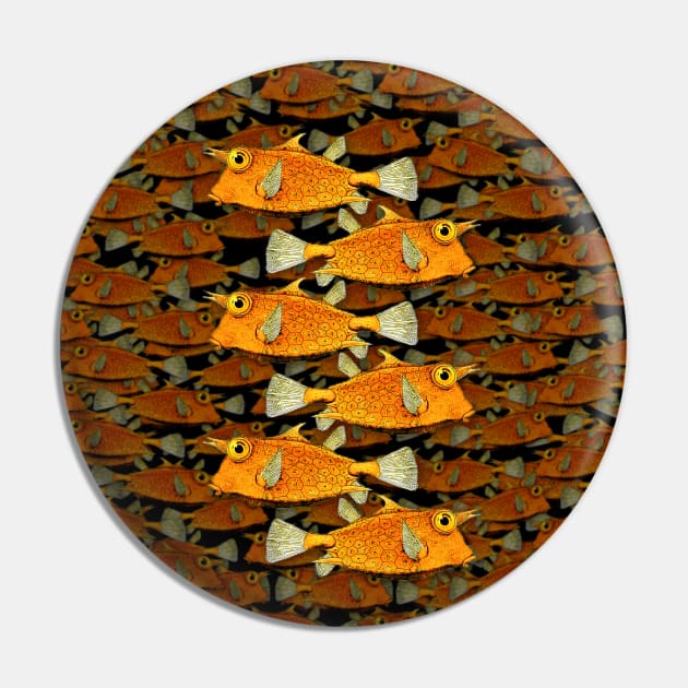 one fish, two fish, many fish [skool] Pin by denniswilliamgaylor