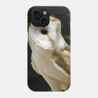 European Barn Owl Phone Case